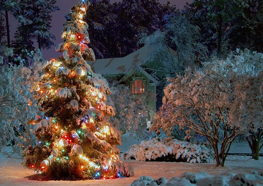 Set de Table Noël, Original, Pvc, Plastique, Semi-Rigide, Design, Lavable, Images, Décoration Fêtes,