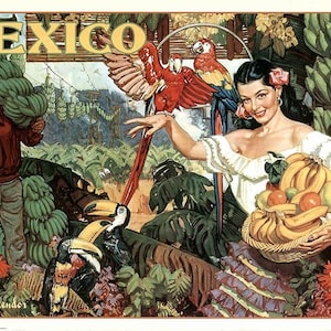 SET DE TABLE  style vintage, Plastique, pvc, Design, Semi-rigide, Lavable, Affiche publicitaire ancienne, Mexico, Femme au panier de fruits.