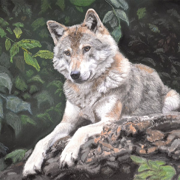 PEINTURE ANIMALIÈRE, Tableau, Loup gris, Dessin, Pastel animal sauvage original, Art, Peinture originale, Renard roux entre neige et bois.