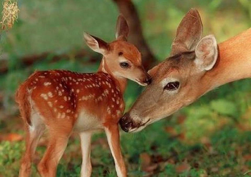 Set de Table Design, Plastique, Pvc, Original, Lavable, Semi-Rigide, Nappe, Linge de Maison, Déco, A