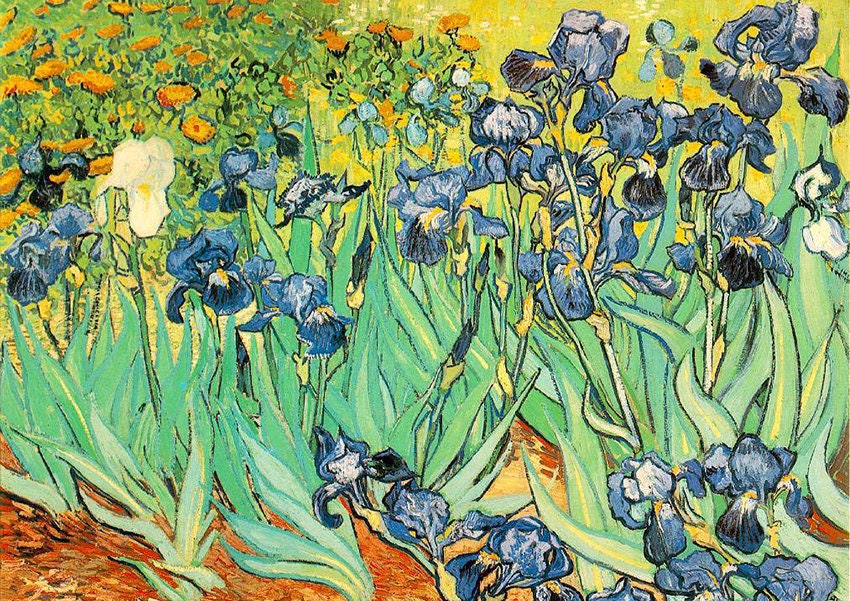 Set de Table Plastique, Pvc, Semi-Rigide, Design Original, Lavable, Linge de Maison, Nappe, Chemin T