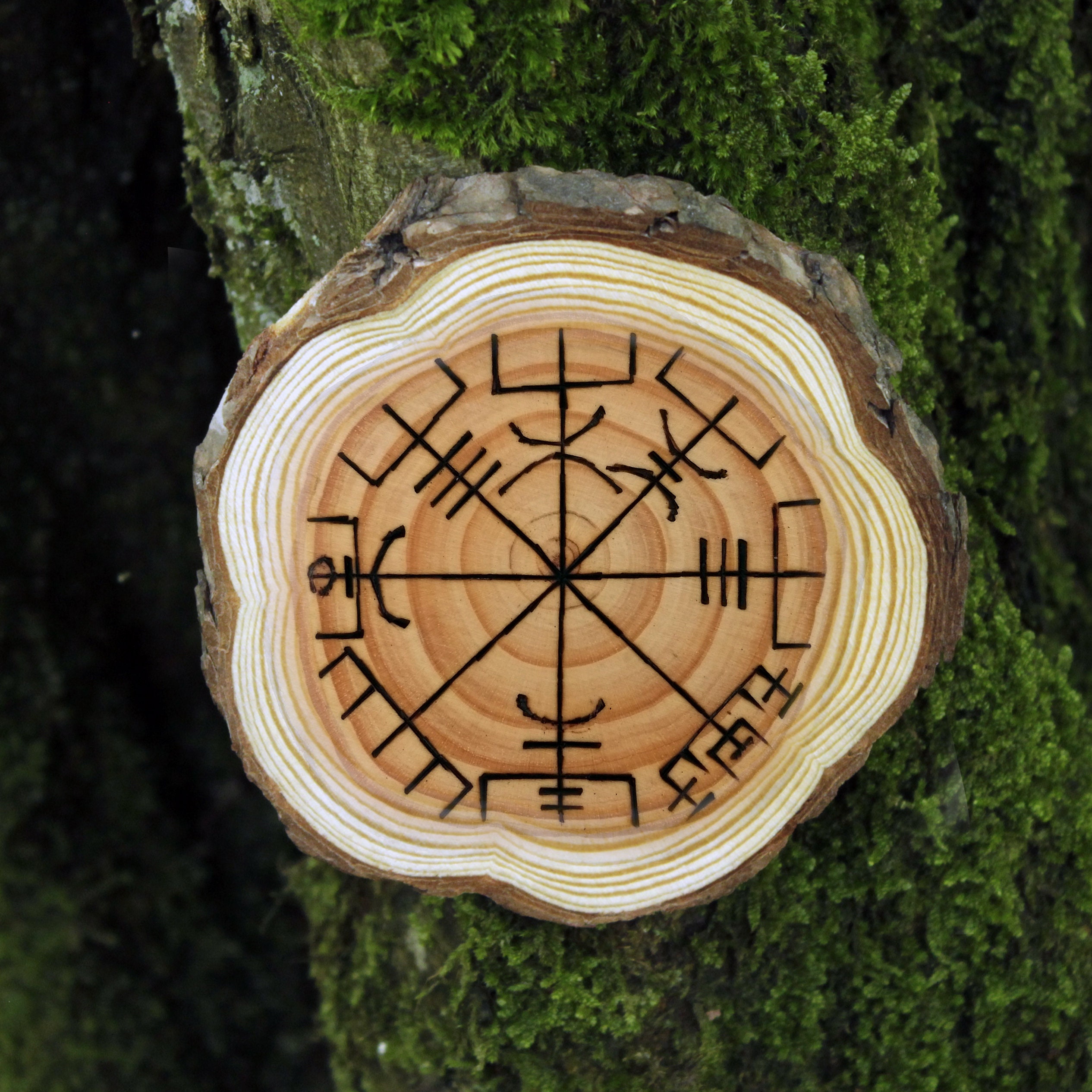 Viking Talisman de Vegvisir