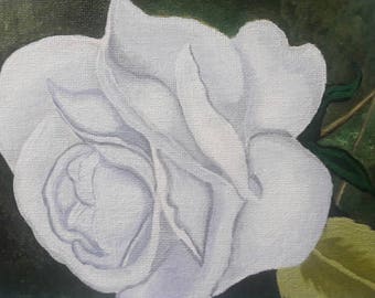 Delicate White