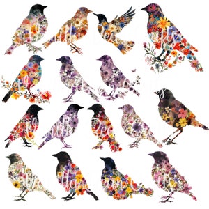 Fleur pressée oiseau PNG Clipart imprimable par sublimation