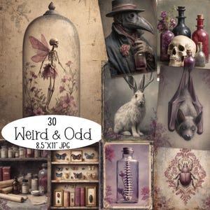 Puede incluir: Un collage de ilustraciones de estilo vintage con temática gótica. Incluye un hada esqueleto en una cúpula de cristal, un médico de la peste, una calavera, un murciélago, un conejo con cuernos y una estantería de curiosidades. También está presente el texto "30 Weird & Odd 8.5"X11" JPG".