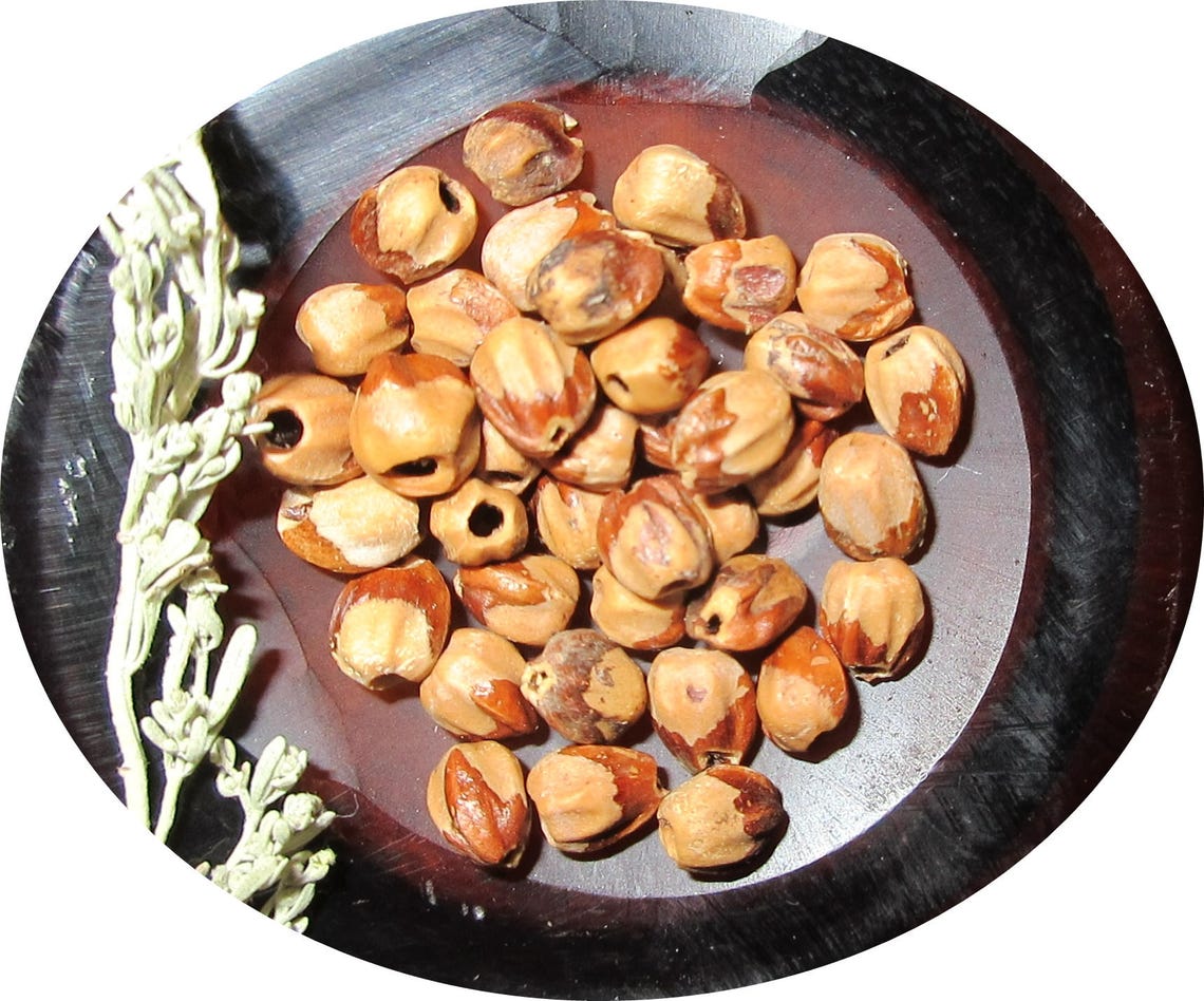 100 Navajo Ghost Beads Cedar Beads Juniper Berries Etsy