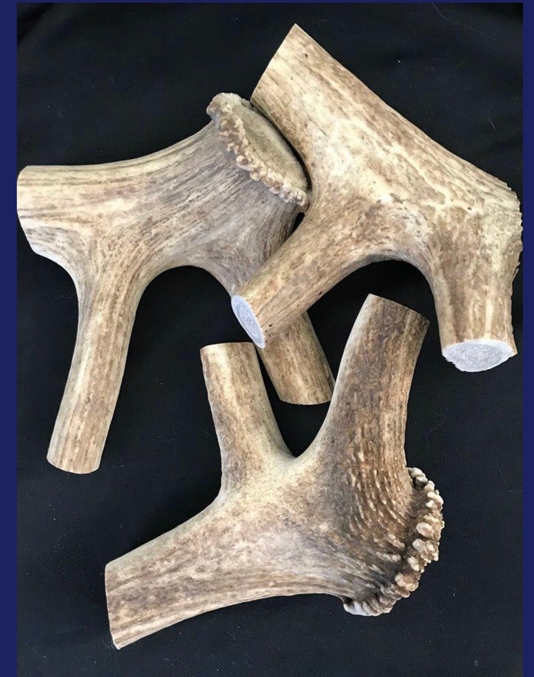 Elk Base Antler Chew for Dogs Etsy