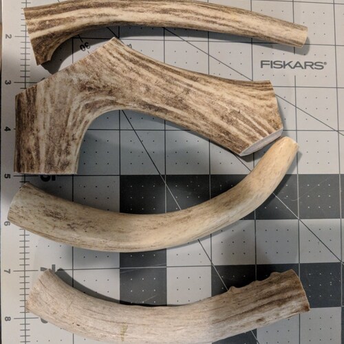 6 Pack Medium Split Elk Antler for Dogs All Natural Dog Chew Etsy