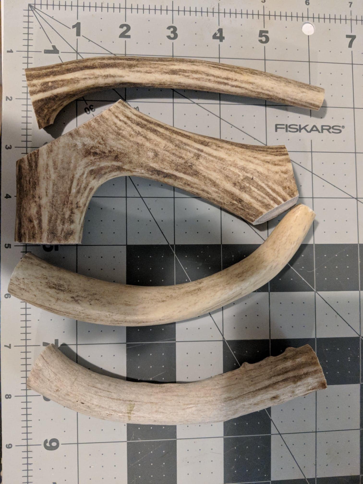 4 Pack Antler Chews for Dogs Etsy