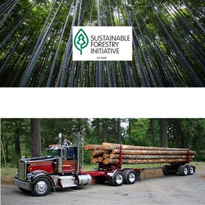 Pode incluir: A imagem apresenta o logotipo da Iniciativa para a Floresta Sustent&aacute;vel acima de uma floresta de bambu. Abaixo, um caminh&atilde;o vermelho e preto transporta toras por uma floresta, mostrando a silvicultura sustent&aacute;vel.