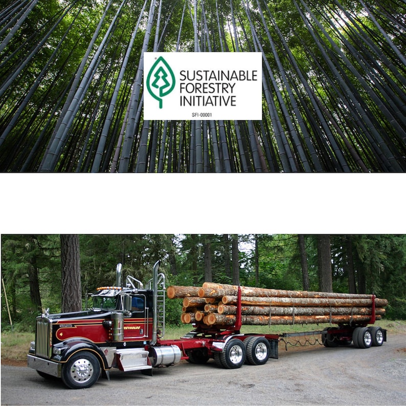 Pode incluir: A imagem apresenta o logotipo da Iniciativa para a Floresta Sustent&aacute;vel acima de uma floresta de bambu. Abaixo, um caminh&atilde;o vermelho e preto transporta toras por uma floresta, mostrando a silvicultura sustent&aacute;vel.