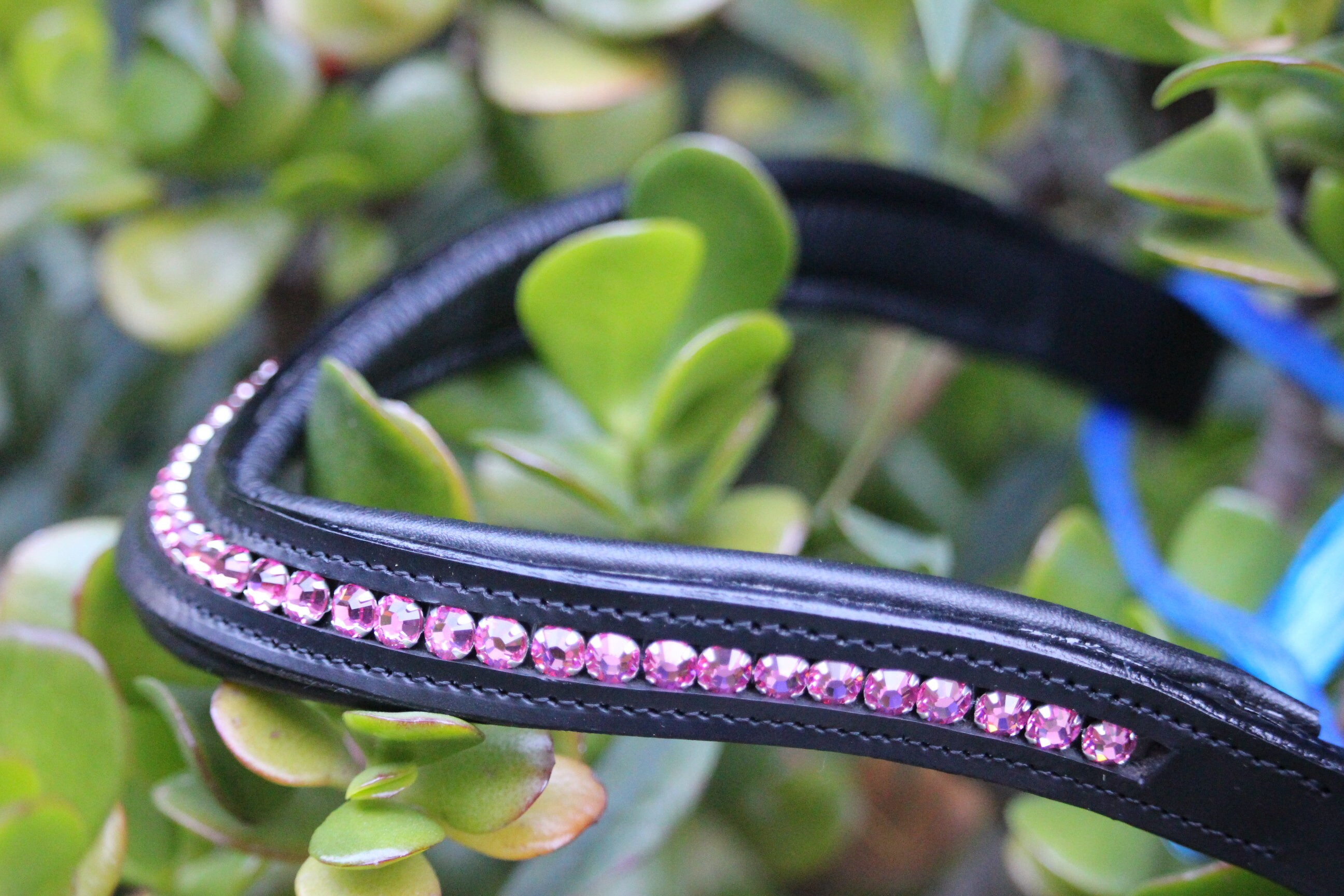 Pink Dressage Bling Browband for Horses Etsy