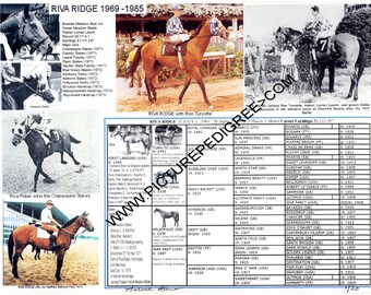 California Chrome Pedigree Chart