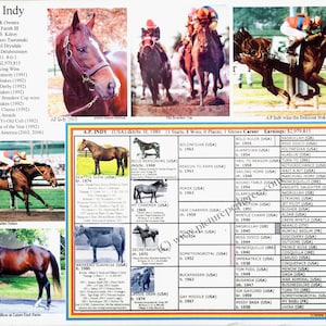 A P INDY Race Horse Racing Picture Pedigree Chart Photo ready to frame