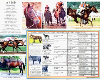 A P INDY Race Horse Racing Picture Pedigree Chart Photo ready to frame