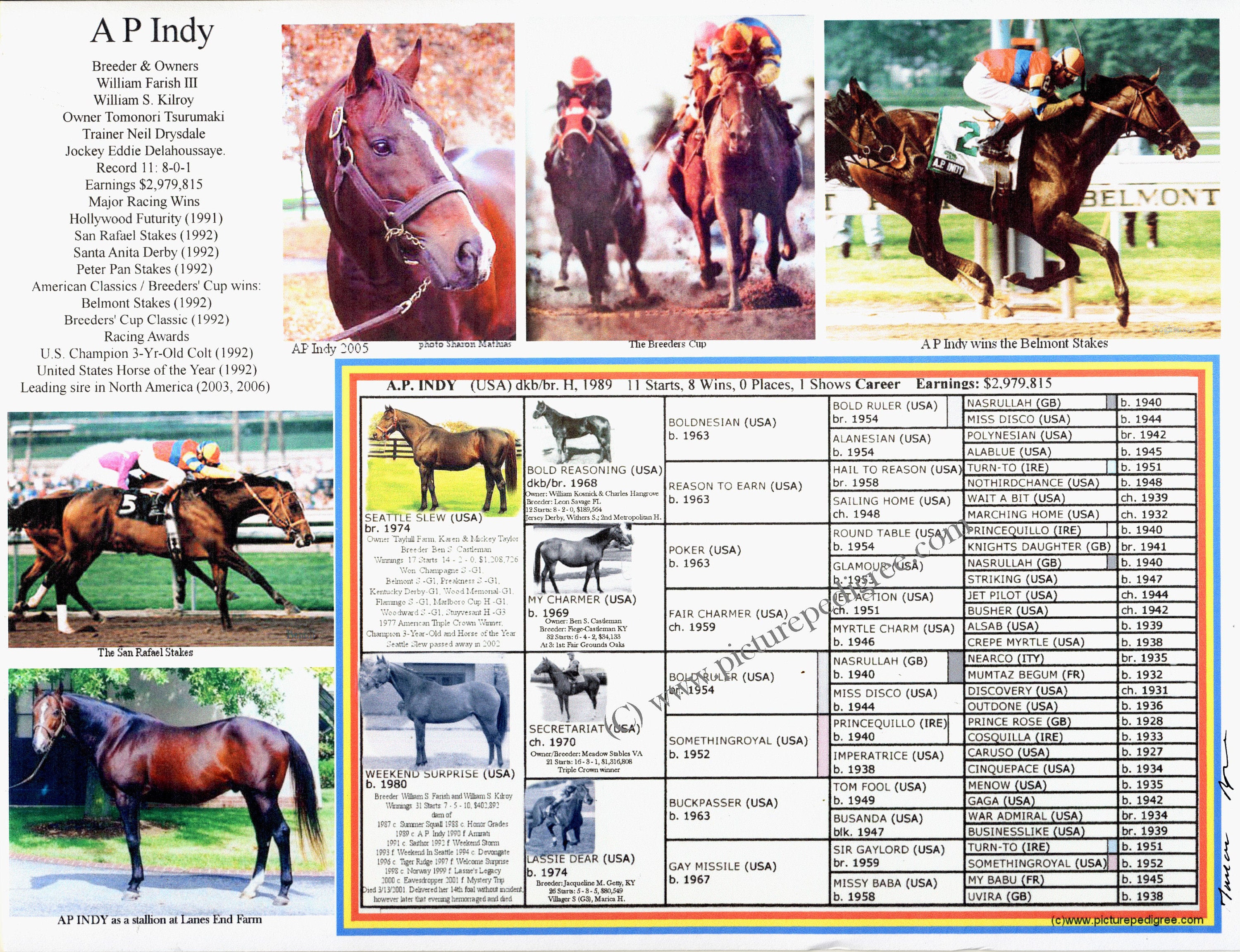 Equine Pedigree Query - 5h9h7xv