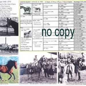 COUNT FLEET  Triple Crown Race Horse Racing Picture Pedigree Chart Gift Idea