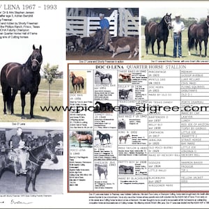 Famous Cutting Quarter Horse Doc O&#39; Lena  Picture Pedigree Chart Photo  ready to frame