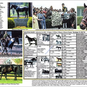 Seattle Slew Picture Pedigree Chart Race Horse Triple Crown Winner 8.5 X11