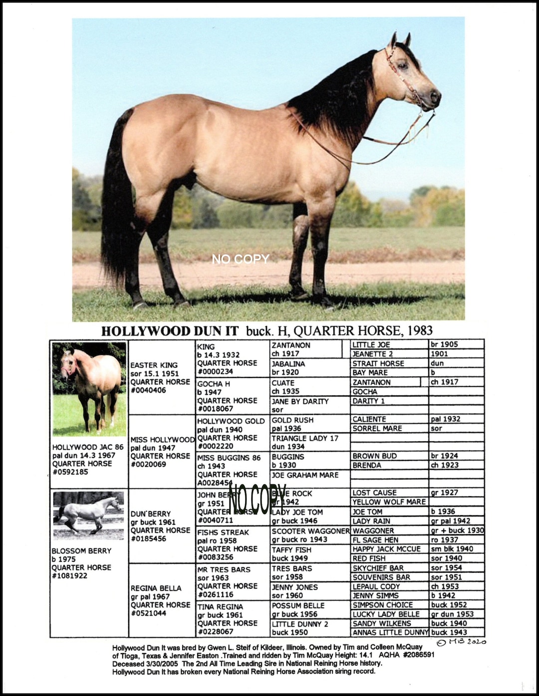 8.5 X 11 Quarter Horse Hollywood Dun It Picture With Pedigree Etsy
