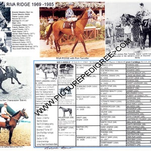 Race Horse Riva Ridge Jockey  Ron Turcotte Picture Pedigree Chart Racing History stablemate of Secretariat Kentucky Derby Winner