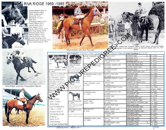 Blank Pedigree Chart For Horses