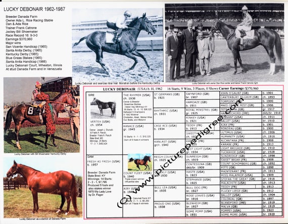 2008 Kentucky Derby Chart