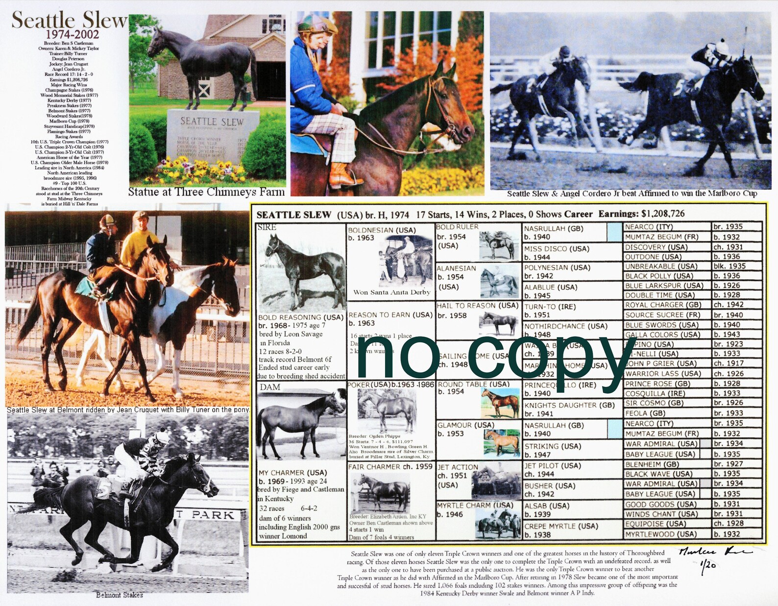 Race Horse Triple Crown Winner Seattle Slew Picture Pedigree Etsy