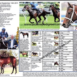 Most famous horse in the world Racing Australian Champion WINX picture pedigree 11X 8.5