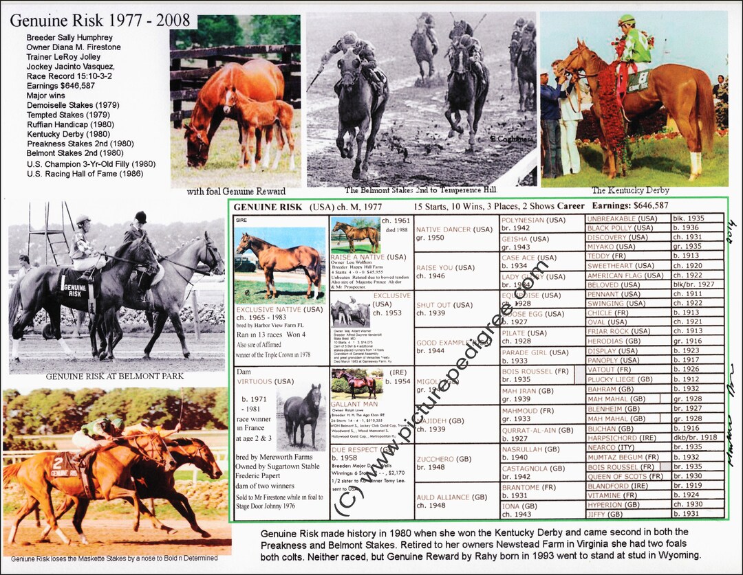 Horse Racing GENUINE RISK One of 3 Filly to Win Kentucky Derby Picture ...