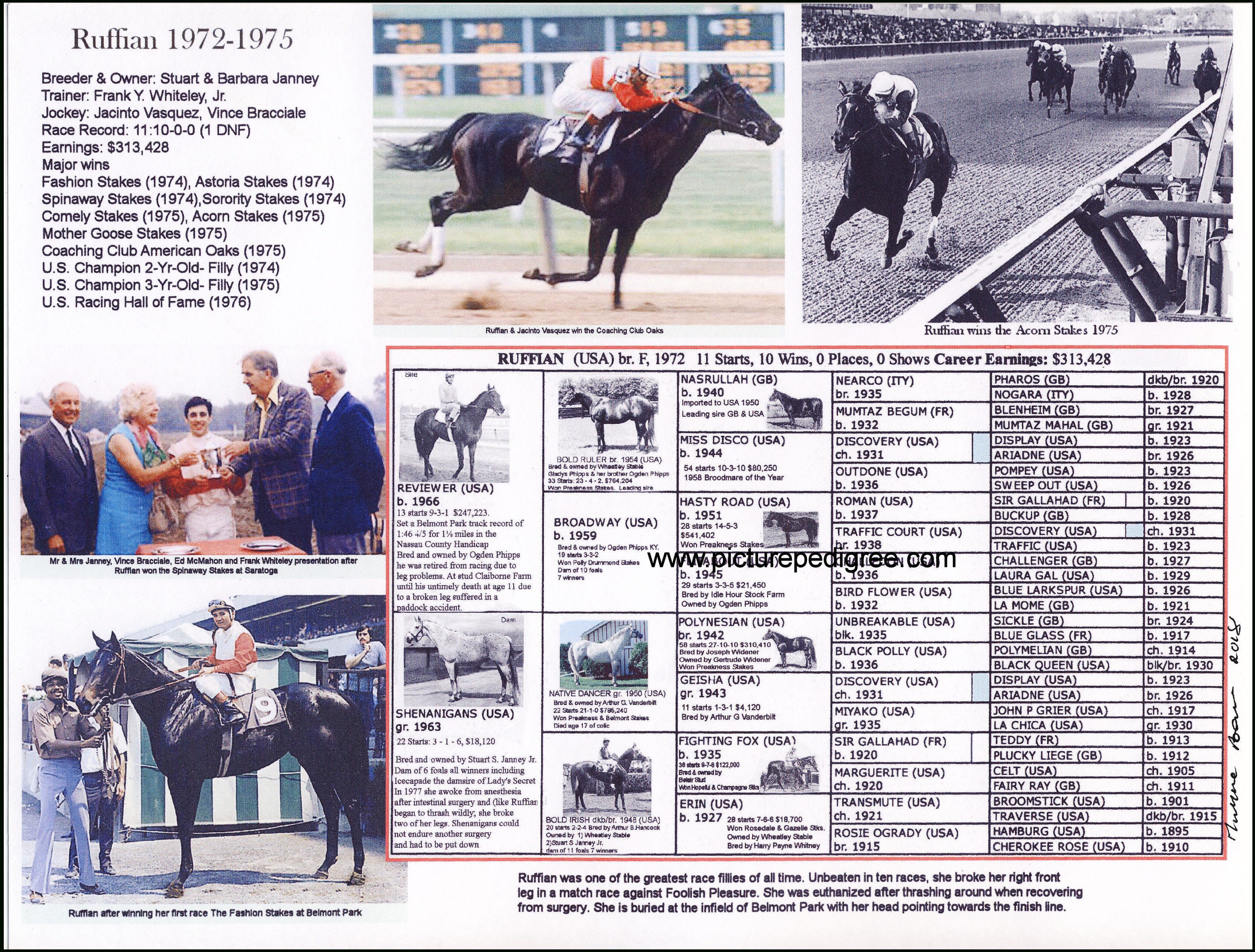 Race Horse Ruffian Picture Pedigree Etsy