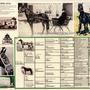 Standardbred Dan Patch Picture Pedigree Chart