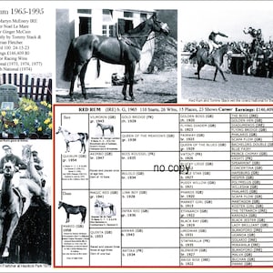 May include: A vintage image featuring the racehorse Red Rum, with text detailing his career from 1965-1995, including wins and earnings. The image includes photos of Red Rum and a list of his lineage.