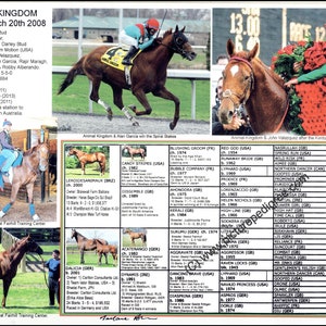 ANIMAL KINGDOM レース 競馬写真 血統表 額装可能な写真