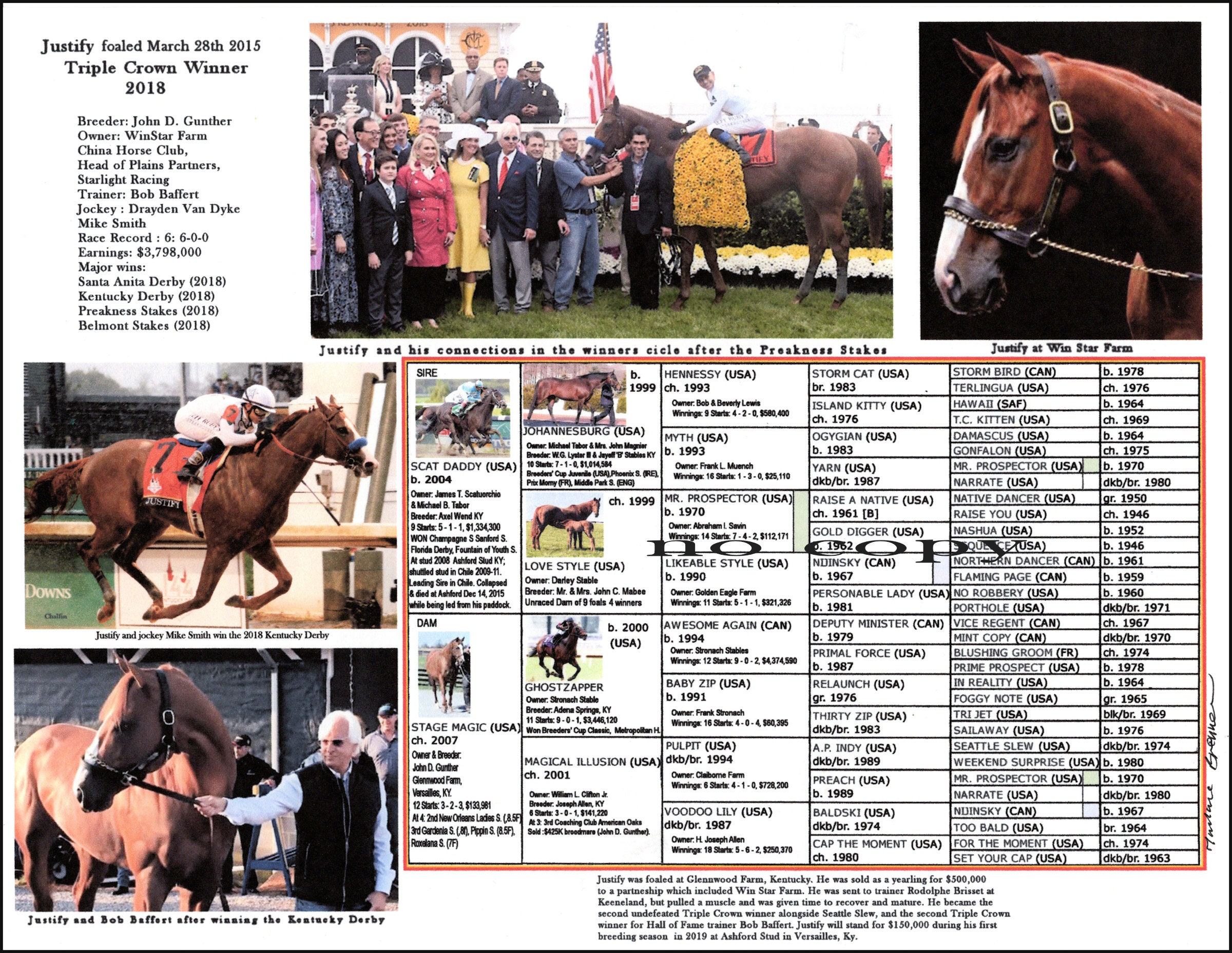 Race Horse Triple Crown Winner Justify Picture Pedigree Chart Collectible