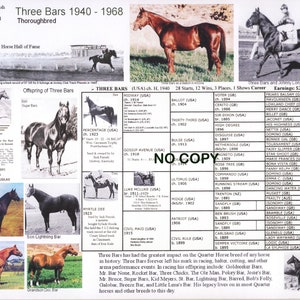 Può includere: Un poster informativo sul cavallo da corsa purosangue Three Bars (1940-1968). Include foto, informazioni sulla prole e sui guadagni. Sottolinea l'impatto del cavallo sulla razza Quarter Horse.