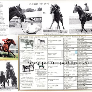 May include: A vintage print featuring images of the racehorse Dr. Fager, including photos of him racing and with his trainer. The print includes a list of his career earnings and other statistics.