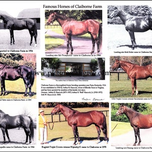 Claiborne Farm famous race horse breeder picture compilation history collectible  XMAS Gift Idea