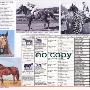 ASSAULT  USA  Triple Crown  Winner Race Horse Racing Picture Pedigree Chart