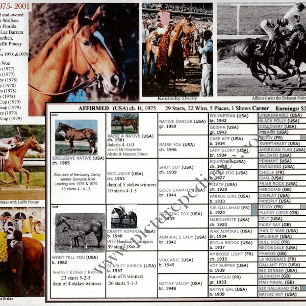 Affirmed Race Horse Triple Crown  picture pedigree