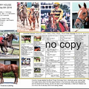 Race Horse Racing Kentucky Derby upset COUNTRY HOUSE Picture Pedigree 11x 8.5