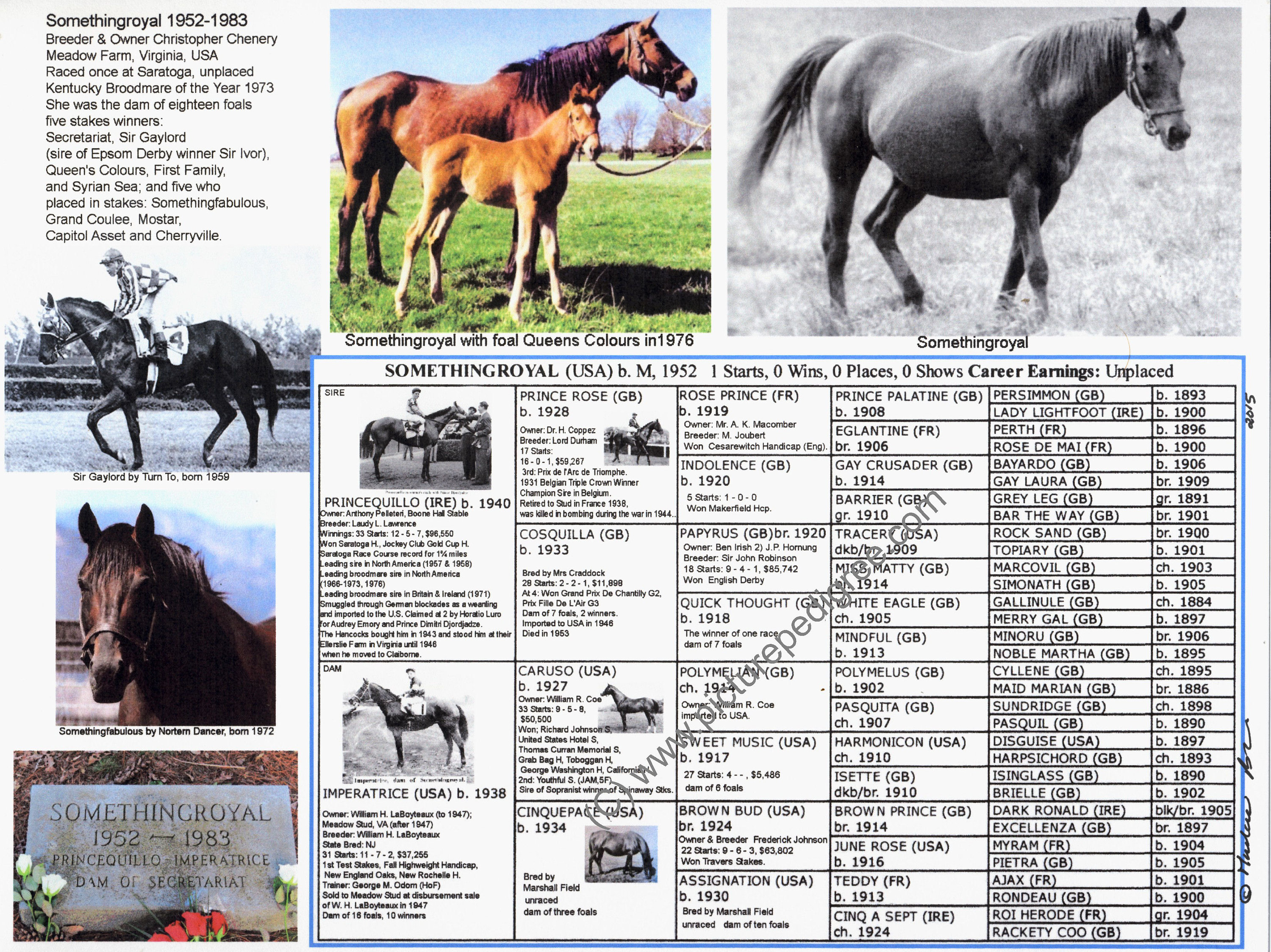 Pedigree Horse Query - 8lch7gs