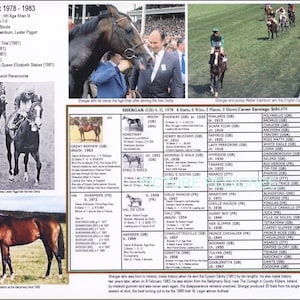 Race Horse SHERGAR 8.5 par 11 " photo pedigree