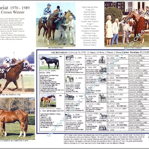 SECRETARIAT  Race Horse Racing Picture Pedigree Chart Photo  Gift Idea 11 X 8.5
