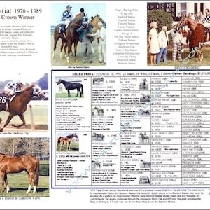 SECRETARIAT  Race Horse Racing Picture Pedigree Chart Photo Gift Idea