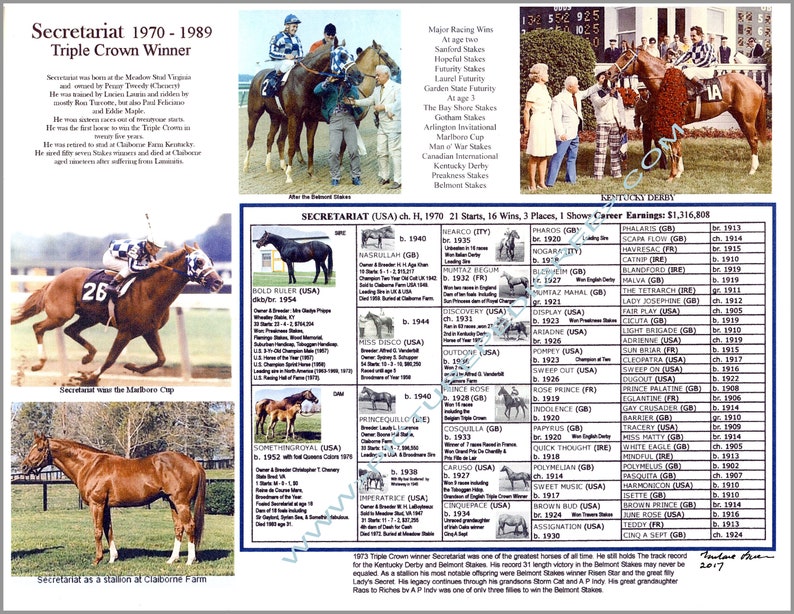 SECRETARIAT Race Horse Racing Picture Pedigree Chart Photo Gift Idea Etsy