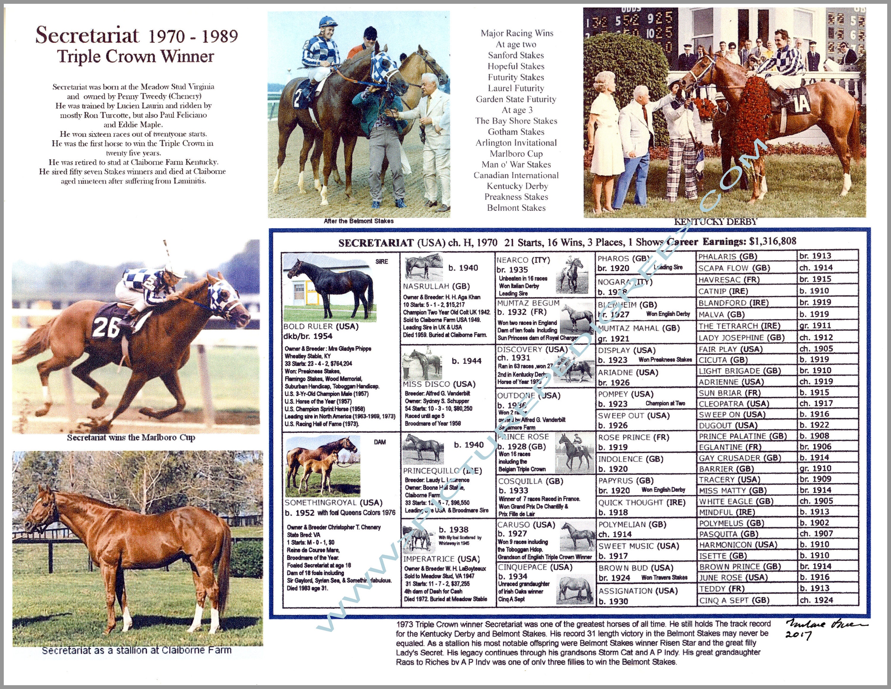 Secretariat Race Horse Racing Picture Pedigree Chart Photo Etsy
