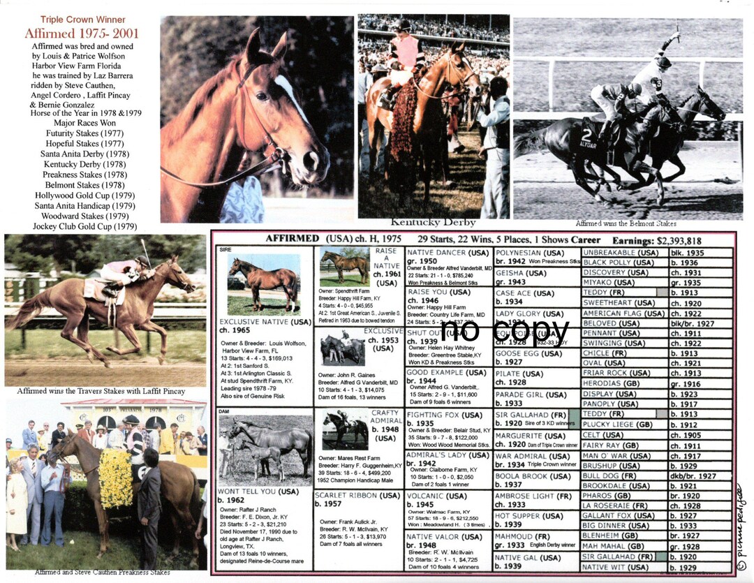 Affirmed Race Horse Triple Crown Picture Pedigree - Etsy