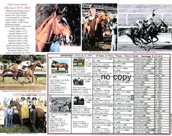 Affirmed Race Horse Triple Crown Picture Pedigree - Etsy