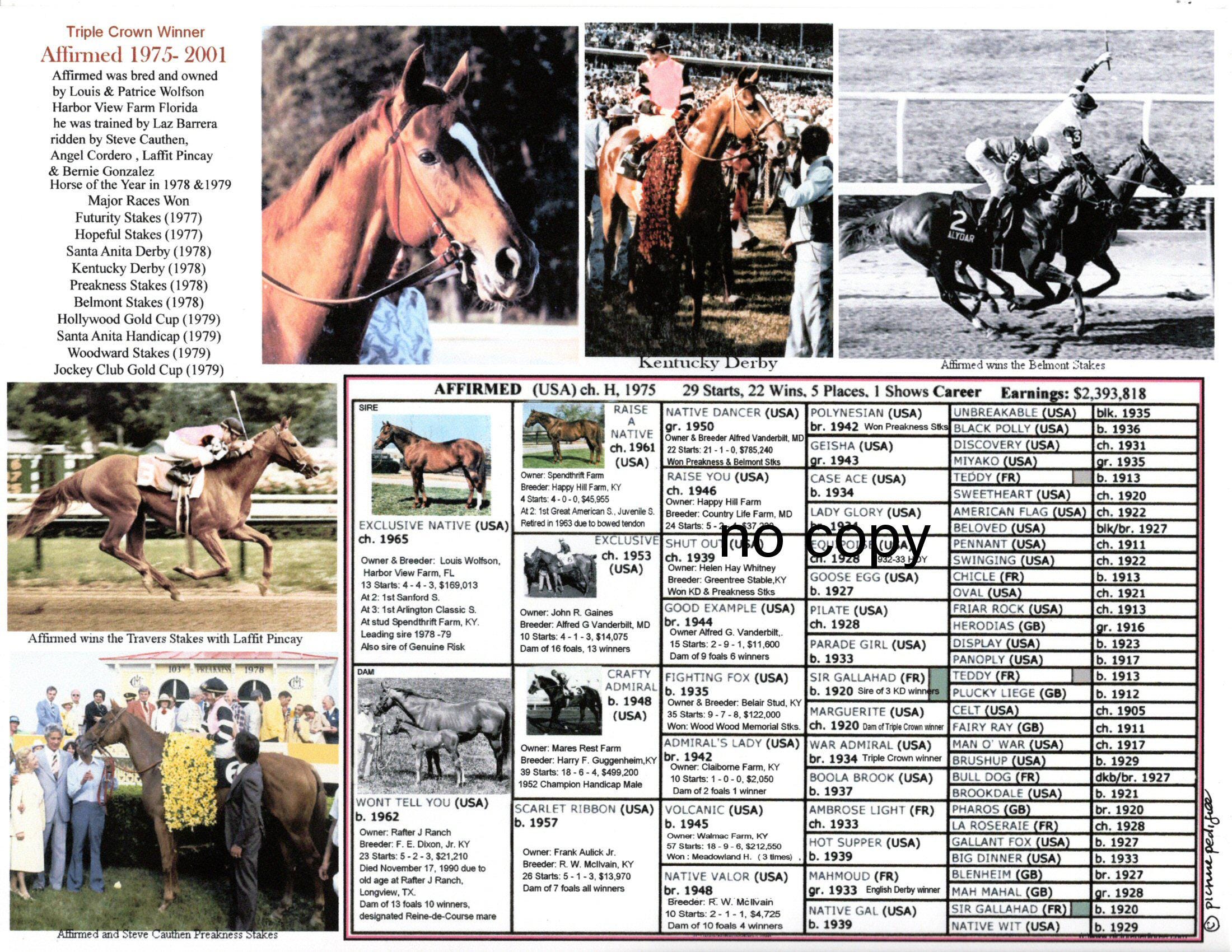 Affirmed Race Horse Triple Crown Picture Pedigree - Etsy